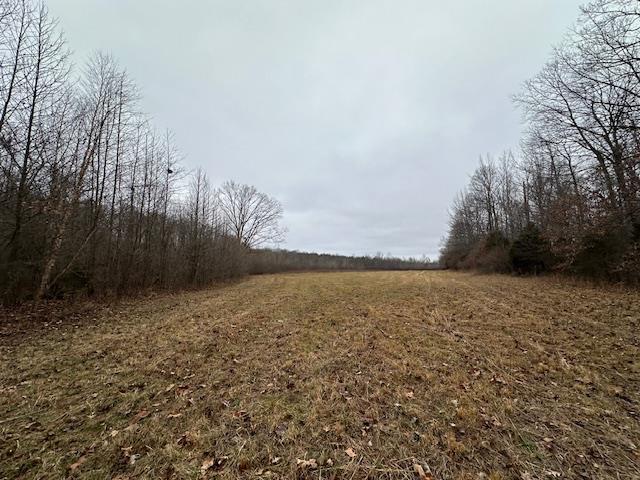 Lots of open fields for hunting